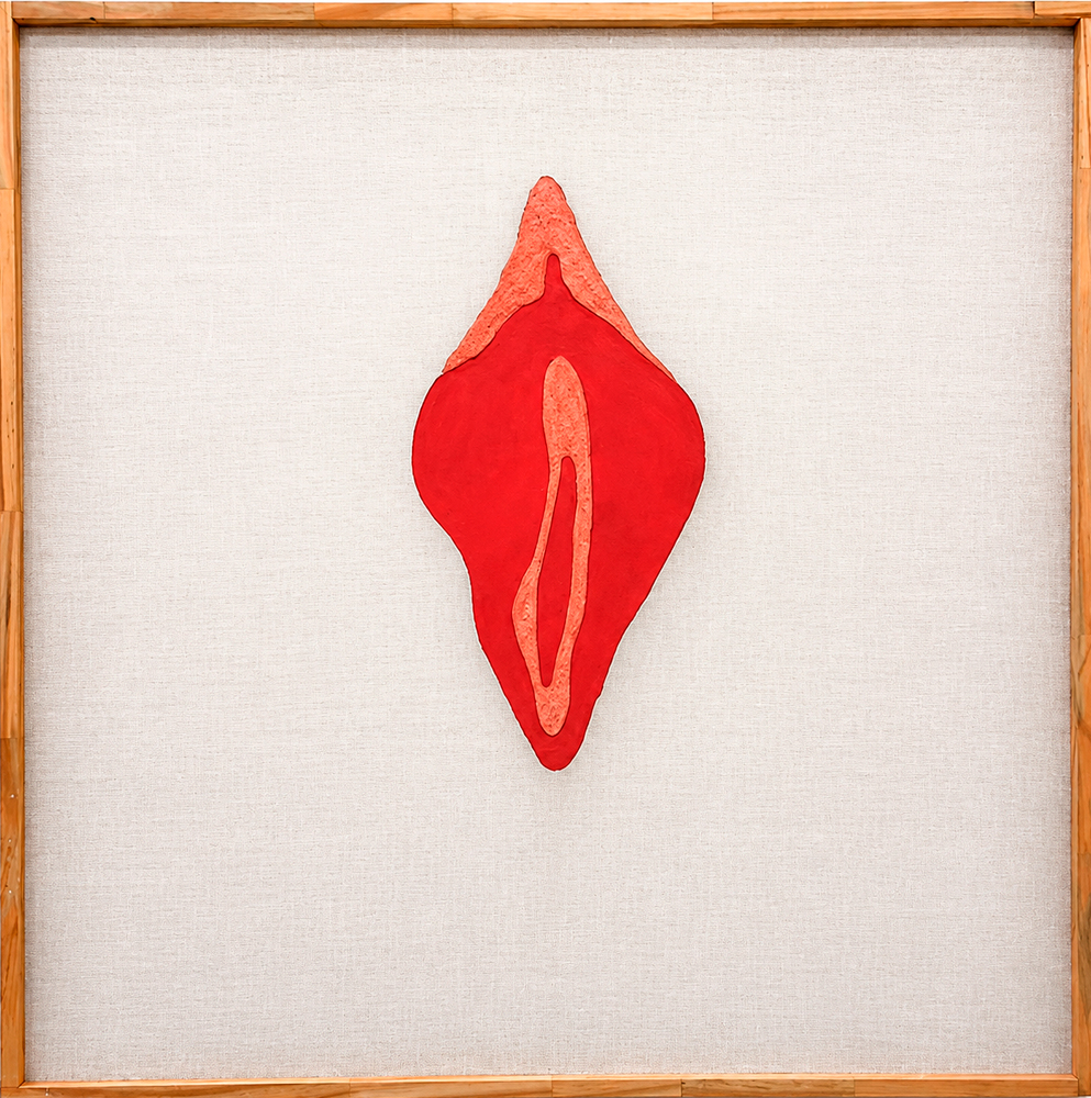 Se llama vulva